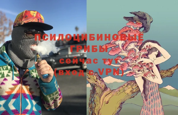 соль курить ск Новодвинск