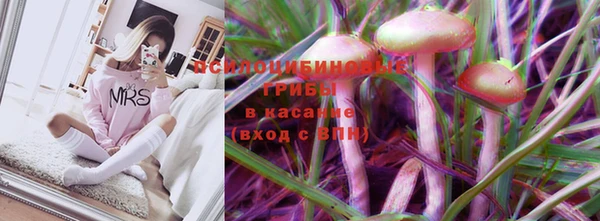 соль курить ск Новодвинск