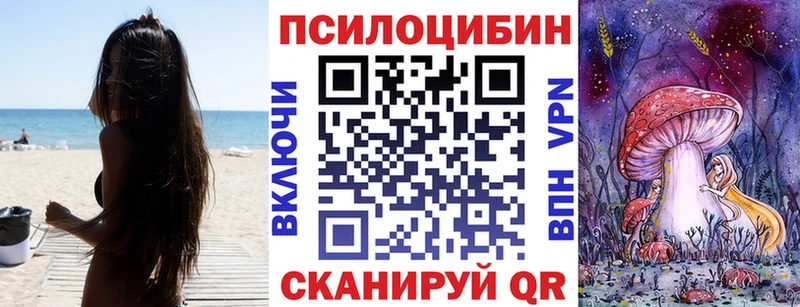 Купить закладки  Перевоз  Псилоцибиновые грибы Magic Shrooms 